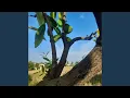 Download Lagu Kita Satu Rasa