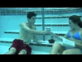 Download Lagu Ocean Man by Ween - Underwater Music Video