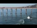 All the surfing action from Scripps Pier La Jolla Shores on 22 0900 1030