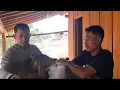 Download Lagu DAPAT KIRIMAN KAMBING LAGI DARI MBAK JJ.. BUAT PRANK TRES🙏 VIDEO KAWAK😂‼️