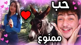 سكينة والحمار قصة حب مؤثرة 