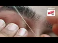 Big joined eyebrow eyebrow tips