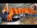 Download Lagu Uitverkocht van 300 eenden per dag - De beste gegrilde eend Hongkong Style | Thais straatvoedsel
