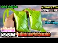 Download Lagu Cara Membuat Ketupat Luar/Irisan Ketan Dari Daun Kelapa