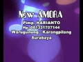 Download Lagu ELiS AMOY#NEWAMORA#PESTA PANEN