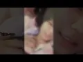 Download Lagu Video Viral 13 detik lele pubg no sensor 🔥