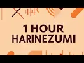 Download Lagu waera - harinezumi | 1 Hour | Music Loop