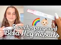 BETA HCG RESULTS AT 5 WEEKS PREGNANT 11DPO LINE PROGRESSION FOR BABY