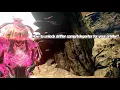 How to unlock the drifter for your orbiter