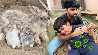 Rabbit k Bacho Ko Dodh Peety Hoy Dekh Lia😍 Mini Zoo Main danger ⚠️ 