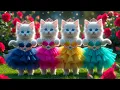 Download Lagu Dudi Dudi Dam Dam 💃💃💃 | Cutest Cat Dancing On Dudi Dudi Dam Dam😺 #dudidudi #dumdum #catdancing