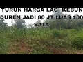 Lagu Turun harga lagi kebun duren jadi 80 juta luas 100 bata