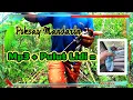 Download Lagu Memikat Poksay Mandarin Modal Mp3+Pulut Lidi.
