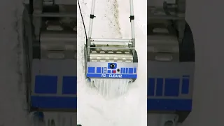 This Rug Should Have Come With A HEALTH WARNING! What A Mess! Satisfying ASMR Carpet Cleaning.