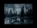 Nargaroth  - Seven Tears flowing to the River (Piano Cover)