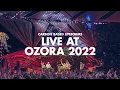 Download Lagu Carbon Based Lifeforms - Live at Ozora Stage 2022