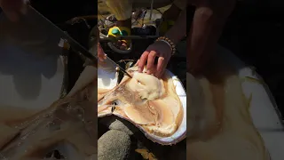 A Girl S Lucky Love Pearl 