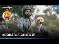 Lagu Charlie Is The Cutest🥹🥹 | 777 Charlie #primevideo