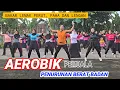Download Lagu AEROBIK PELUNTUR LEMAK PERUT PAHA DAN LENGAN