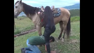 Femdom Slave 2  Femdom Slave 2