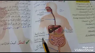 علوم الصف الخامس الوحدة السابعه الدرس الاول الجهاز الهضمي والجهاز البولي منهاج كولينز 