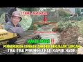 Download Lagu MAKIN NGERI‼️Pengerukan Dengan Amphibi Tuntas❗Tiba Tiba Penunggu Kali Kapuk - HADIR! 