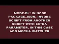 NodeJS In node package json invoke script from another script with extra parameter in this case