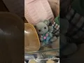 I Bought An Entire Collection For Huge Profit Ebay Reselling