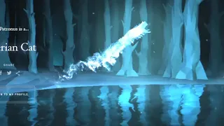 My New Patronus and Wand RETAKING the Pottermore Tests