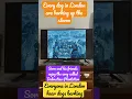 Download Lagu Sora and his friends enjoy Dalmatian Plantation song every dog in London are barking