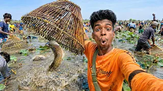 🎣 2000 People, One Fishing Festival! 😱 | Traditional Ootha Fishing 🔥