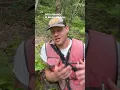 Download Lagu What is “scarification?” #forest #forests #tree #trees #forester #forestry #short #shorts