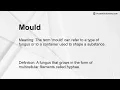 Mould Meaning