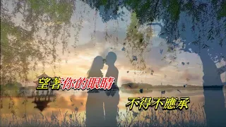 愛的呼應 蘇慧倫 歌手演唱版 