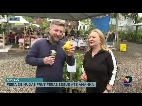 Feira de mudas frutíferas segue até este domingo, em Chapecó