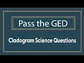 Three Cladogram Science GED Questions