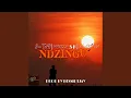 Lagu Ndzingu (feat. Maa-Skapa)