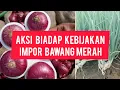 AKSI BIADAP OKNUM IMPOR BAWANG MERAH 