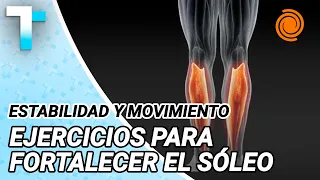 SÓLEO y GLUCOSA: el músculo de la PANTORILLA que MEJORA la CIRCULACIÓN y el METABOLISMO