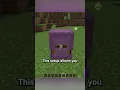 shulker chest