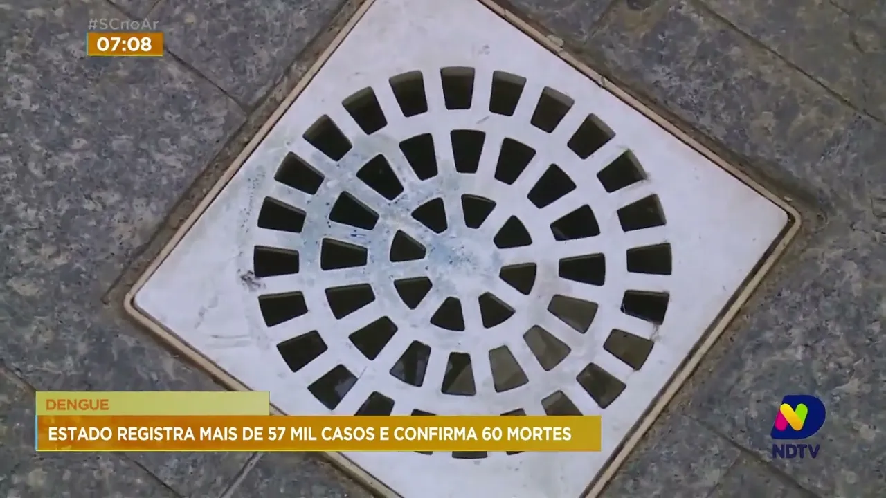 Segundo Dive-SC, diminui o número de focos de dengue no Estado