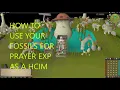 HCIM Tjcombo Runescape HOW TO USE FOSSILS TO GET PRAYER EXP AS A HARDCORE IRONMAN