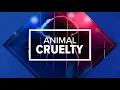 Nonprofit director prohibited from operating kennel