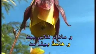                                              دندنها