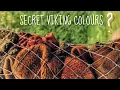 Secret Viking Colours Revealed for Wool Garments Viking Age Mushroom Dye Experiment
