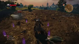 The Witcher 3 Killing Wraiths The Right Way Deathmarch difficulty