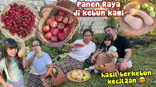 PERTAMA KALINYA PANEN LABU BUTTERNUT DIKEBUN KAMI‼️PANEN RAYA + 1 KERANJANG APELNYA MERTUA