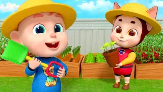 Baby Rob on the Farm | Old Macdonald Had a Farm Song | Rosoo Nursery Rhymes & Kids Songs