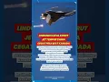 Download Lagu JET TEMPUR CHINA DIKERAHKAN CEGAT PESAWAT KANADA DEMI LINDUNGI KAPAL KORUT