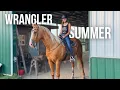 My Summer as a Wrangler Working at a Horse Camp